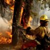 Wildfires and Water Woes Navigating California's Climate Challenges