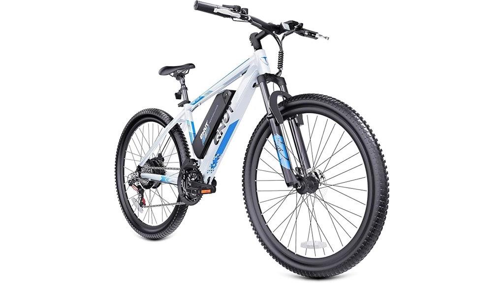 adult electric bike