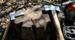 diy tree stump removal