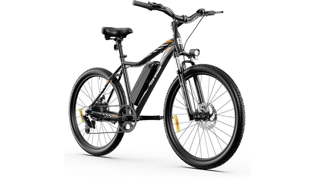 electric adult bike