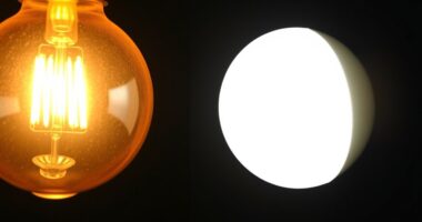 energy efficient lighting choices