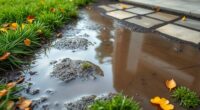 improve yard drainage solutions