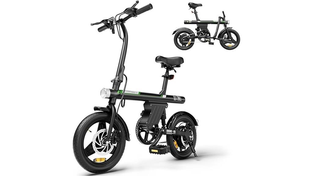 powerful adult electric bike