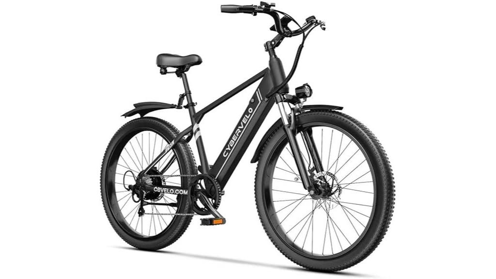 powerful adult electric bike