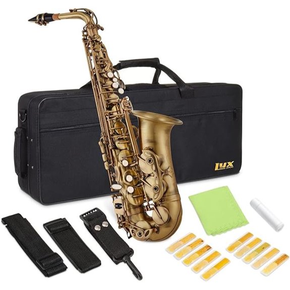 Alto E Flat Saxophone Kit with Accessories