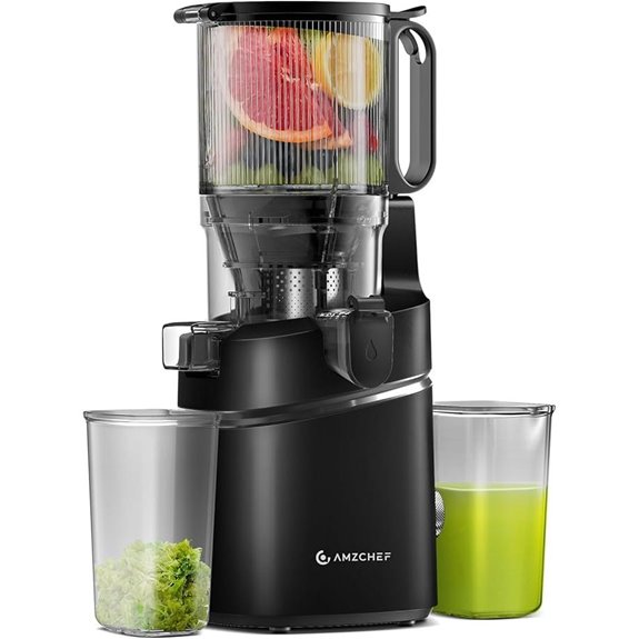 AMZCHEF Cold Press Juicer with Self-Feeding Black
