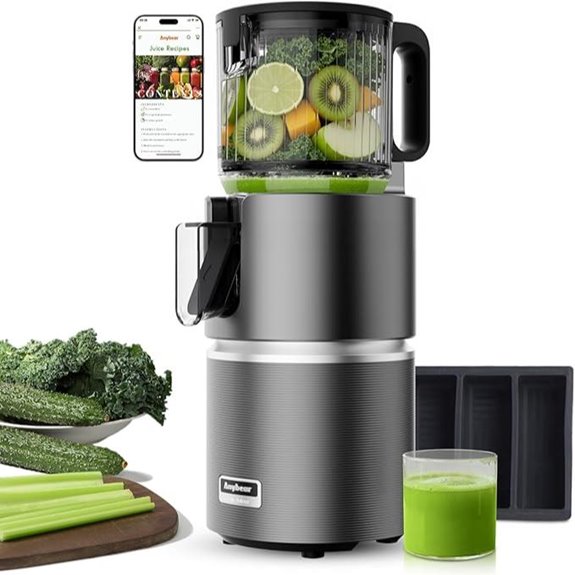 Anybear Cold Press Juicer with Large Feed Chute