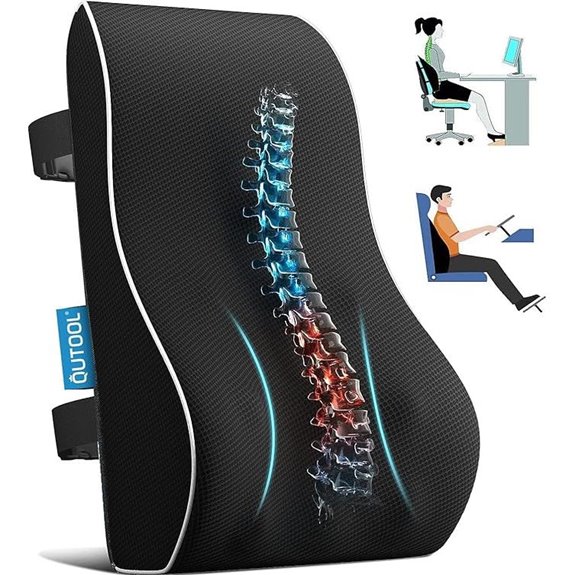 Lumbar Support Pillow for Office & Car Use