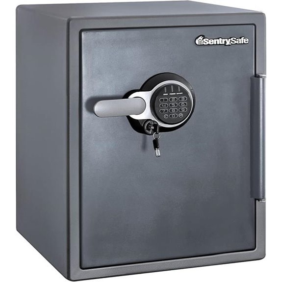 SentrySafe Fireproof Waterproof Steel Home Safe