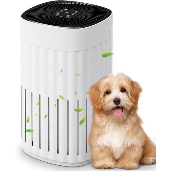 Large Room Air Purifier with HEPA Filter