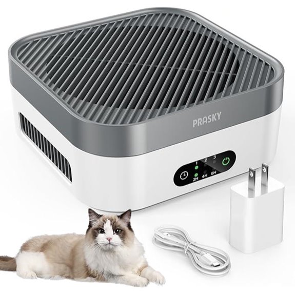 Portable H13 HEPA Air Purifier for Home & Car