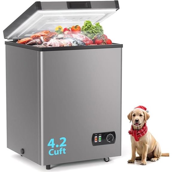 LifePlus 4.2 Cu Ft Chest Freezer with Basket