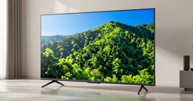 top bright room tv picks