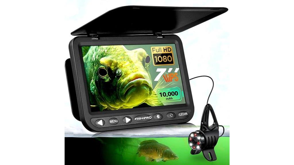 underwater fish camera display