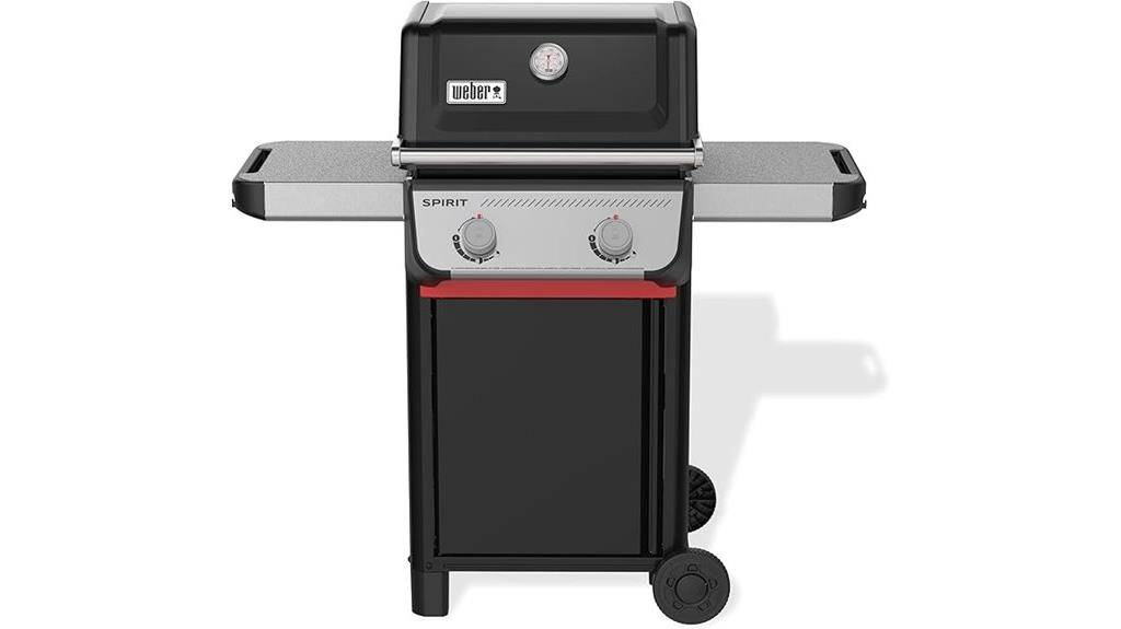 weber e 210 gas grill