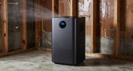basement moisture management tips