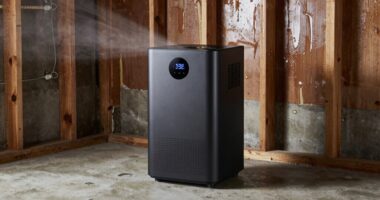 basement moisture management tips
