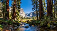 california nature adventures