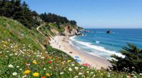 california s captivating allure