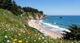 california s captivating allure