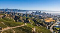 california s diverse cultural identity