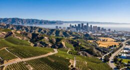 california s diverse cultural identity