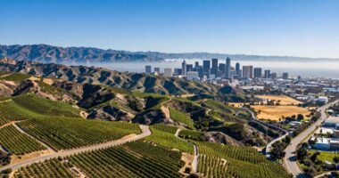 california s diverse cultural identity