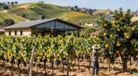 california s food and culture