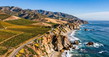 california travel planning themes