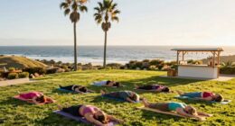 california wellness movement