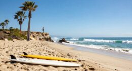 california wellness reputation enduring