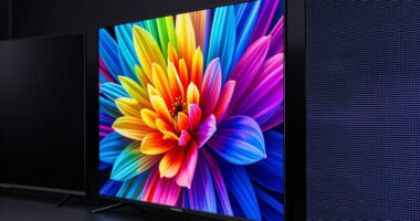 display technology comparison overview