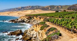 diverse california getaway experiences