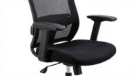 ergonomic back support