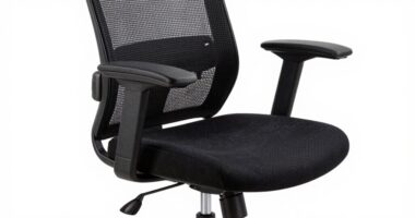 ergonomic back support