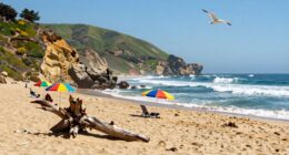 hidden local attractions discovered