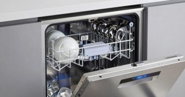 high end dishwasher features