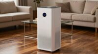 large room air purifier considerations
