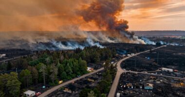 living through wildfire season