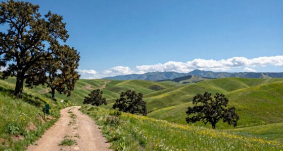 scenic accessible outdoor activities