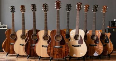 top acoustic guitar picks