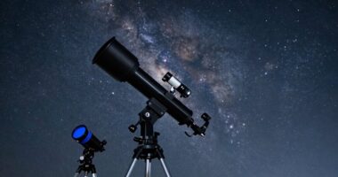 top beginner telescopes 2026