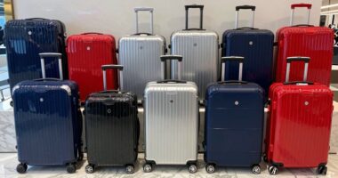top luggage sets 2026