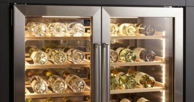 top wine coolers 2026