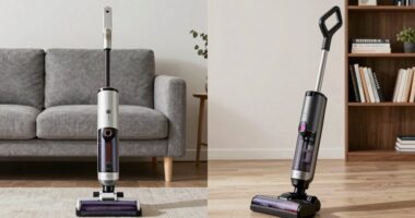 vacuum type suitability comparison