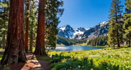 year round california outdoor destinations