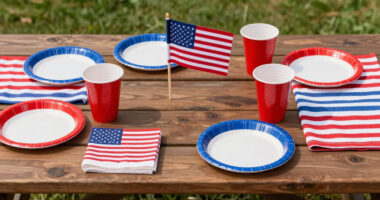 12 Best Patriotic Outdoor Party Supplies in 2026