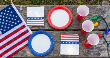 12 Best Patriotic Outdoor Party Supplies in 2026