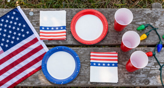 12 Best Patriotic Outdoor Party Supplies in 2026