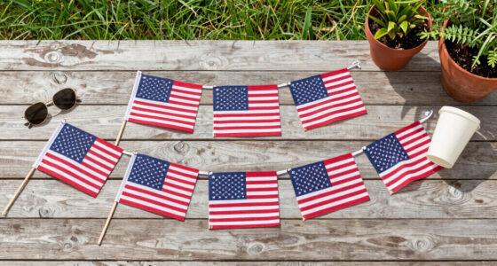 11 Best American Flag Outdoor Decorations in 2026